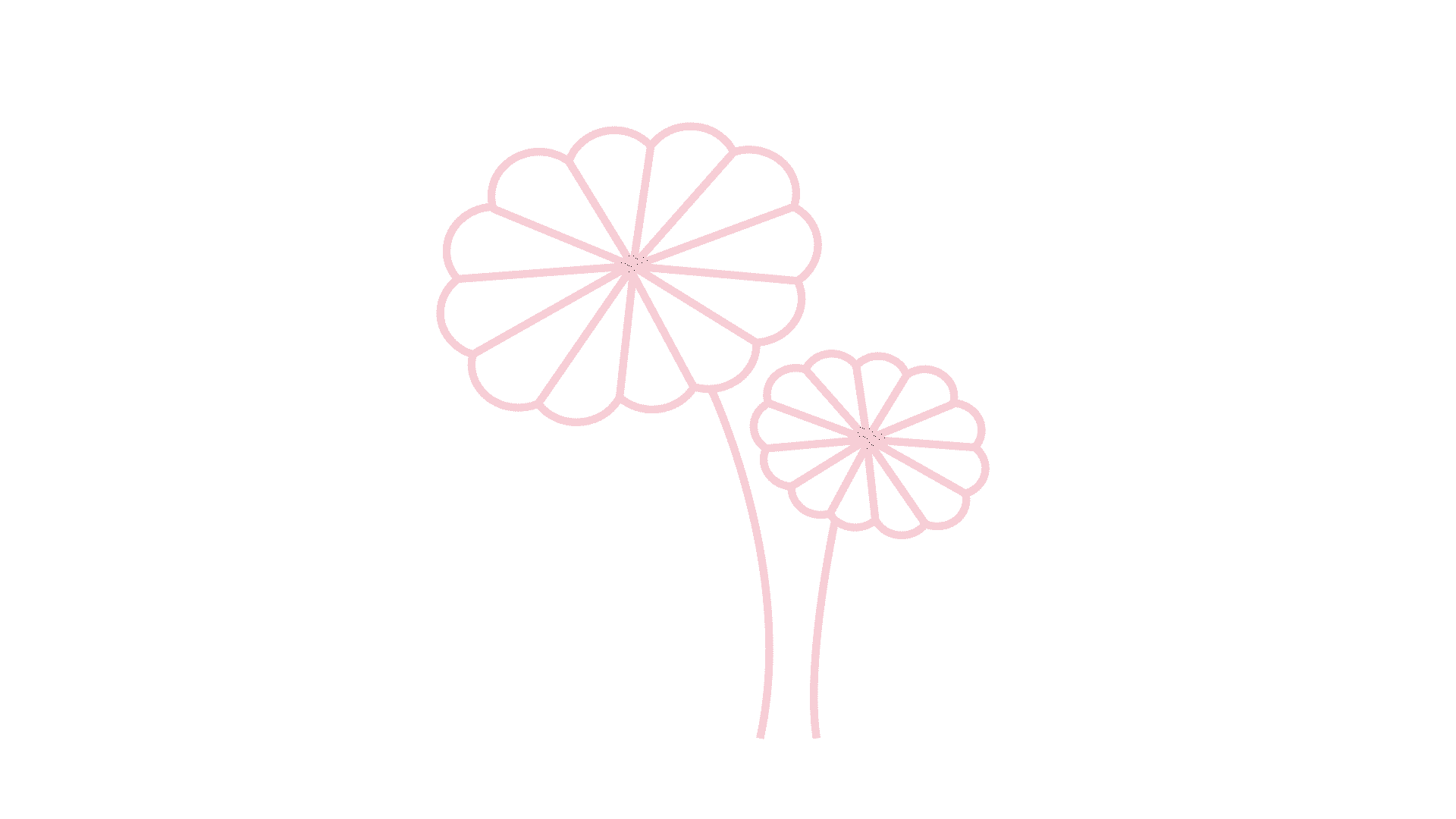 centella_4c772665-f931-4327-938a-21505e009e83.gif