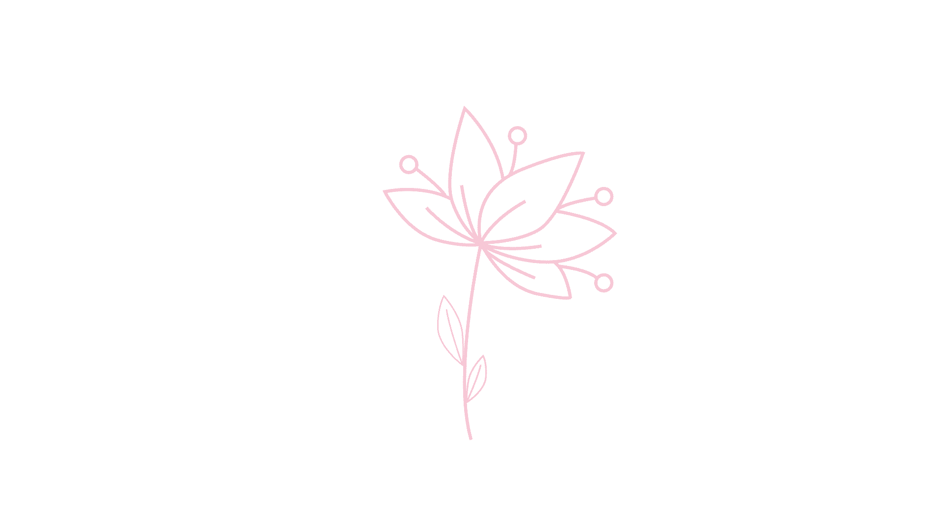 white_lily.gif